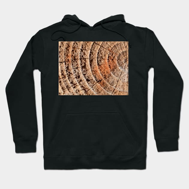 End Grain Hoodie by aeolia